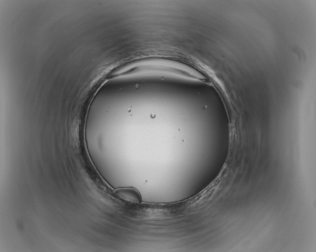 X0000111790154200908061144