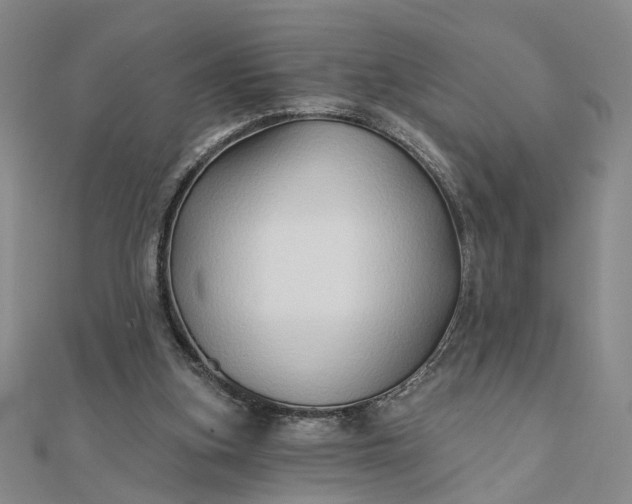 X0000111790155200908061144