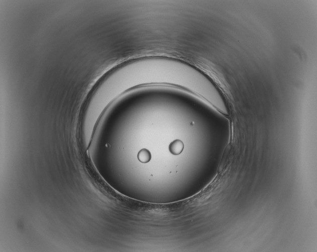 X0000111790156200908061144