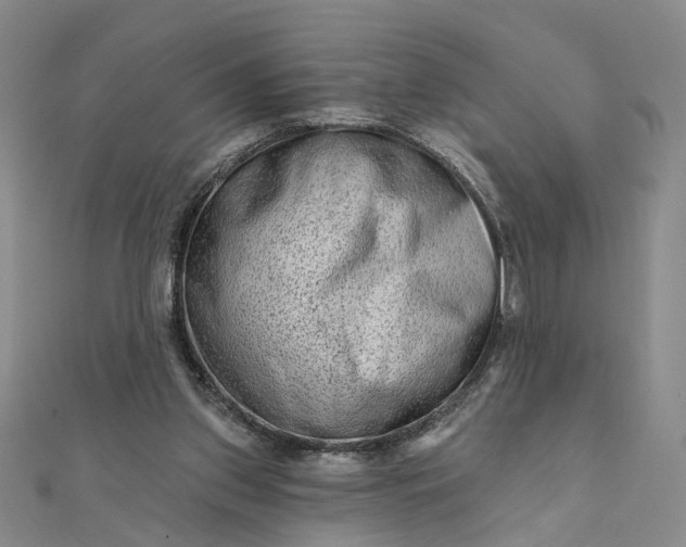 X0000111790157200908061144