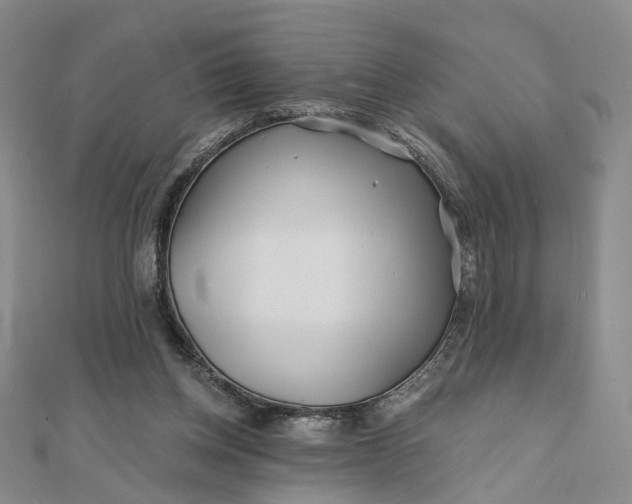 X0000111790158200908061144