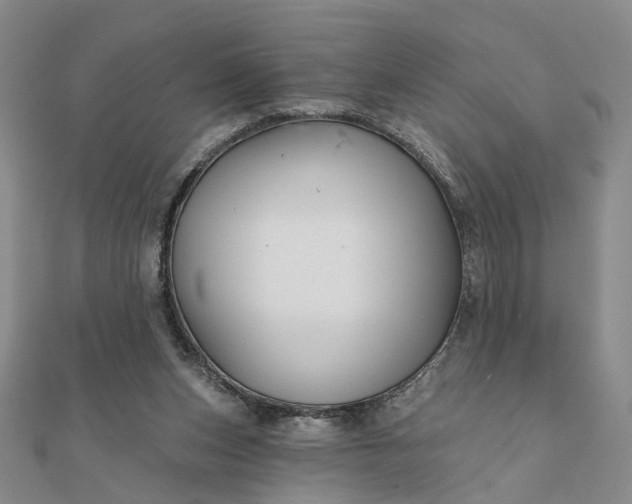 X0000111790159200908061144