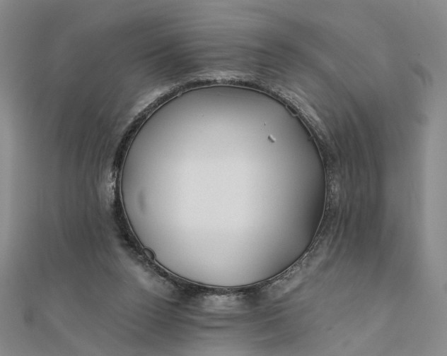 X0000111790160200908061144