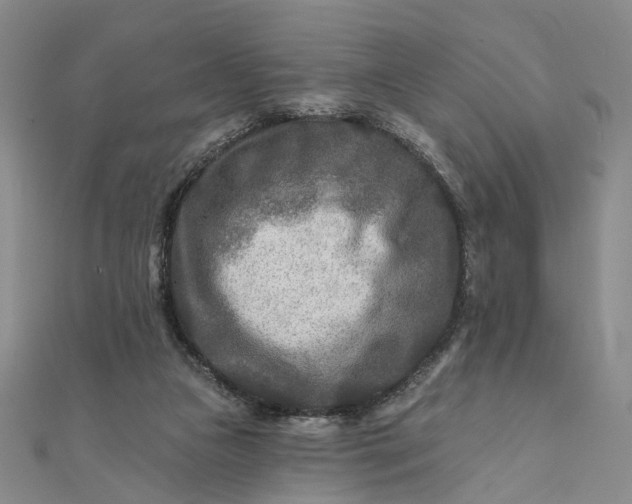 X0000111790161200908061144