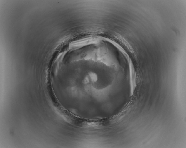 X0000111790163200908061144