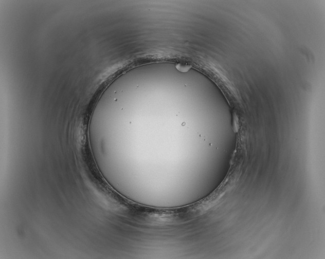 X0000111790164200908061144