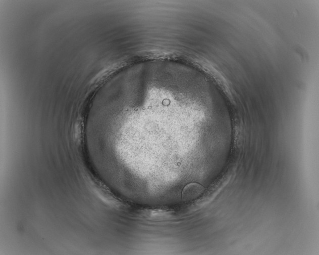 X0000111790165200908061144