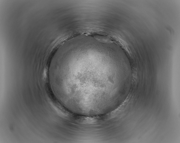 X0000111790166200908061144