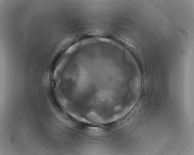 X0000111790167200908061144