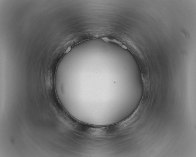 X0000111790170200908061144