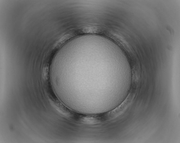 X0000111790171200908061144