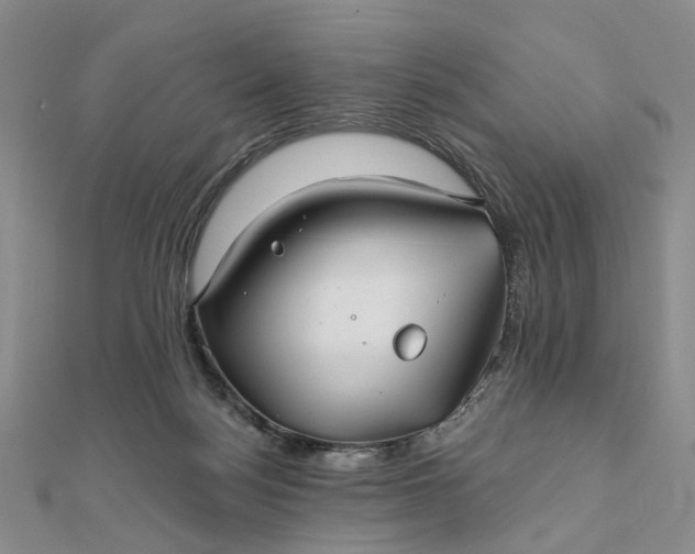 X0000111790172200908061144