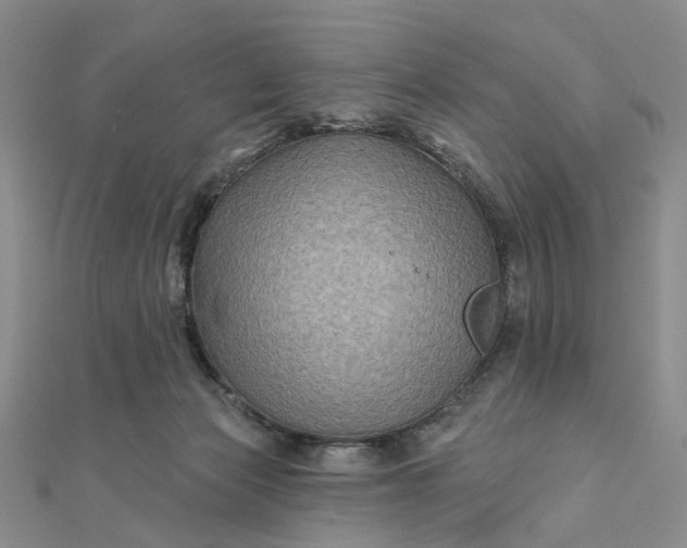 X0000111790173200908061144