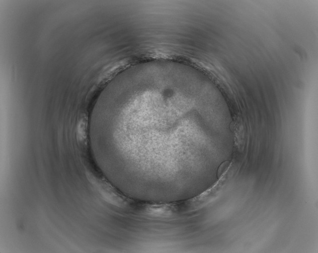 X0000111790175200908061144