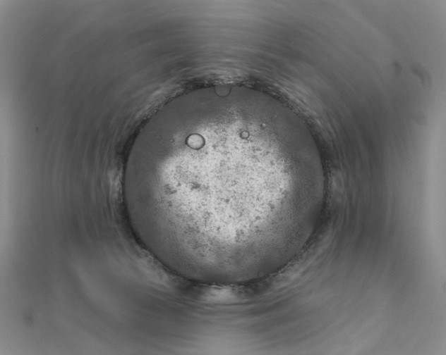 X0000111790177200908061144