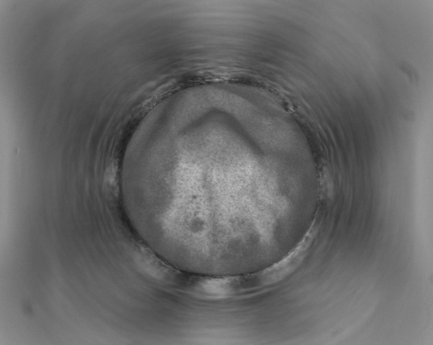 X0000111790178200908061144