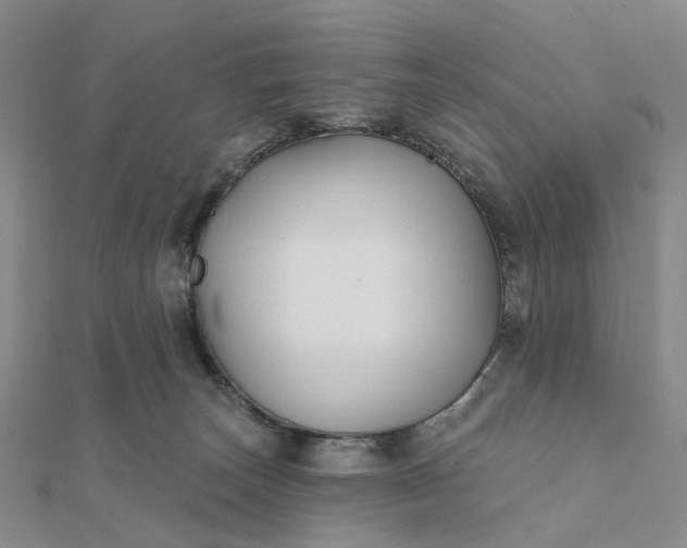 X0000111790179200908061144