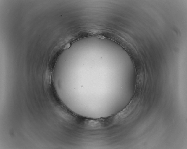 X0000111790180200908061144