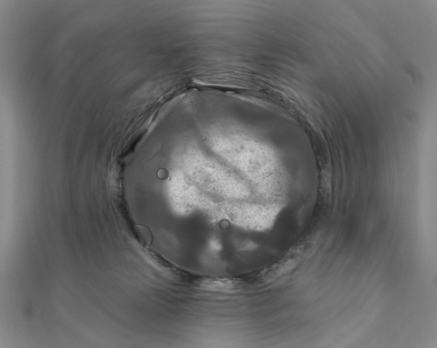 X0000111790181200908061144