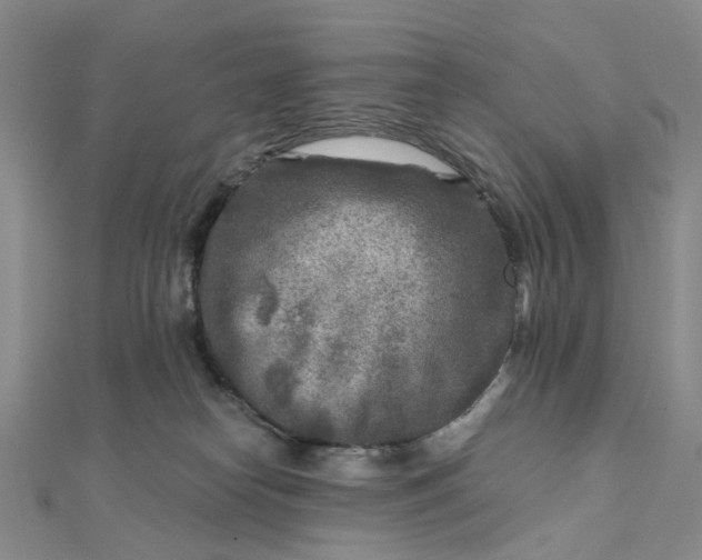 X0000111790182200908061144