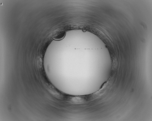 X0000111790183200908061144