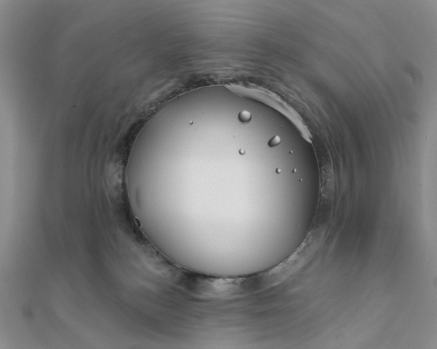 X0000111790184200908061144