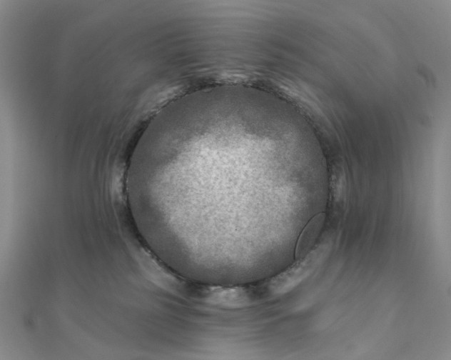 X0000111790185200908061144