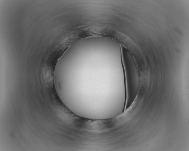 X0000111790186200908061144