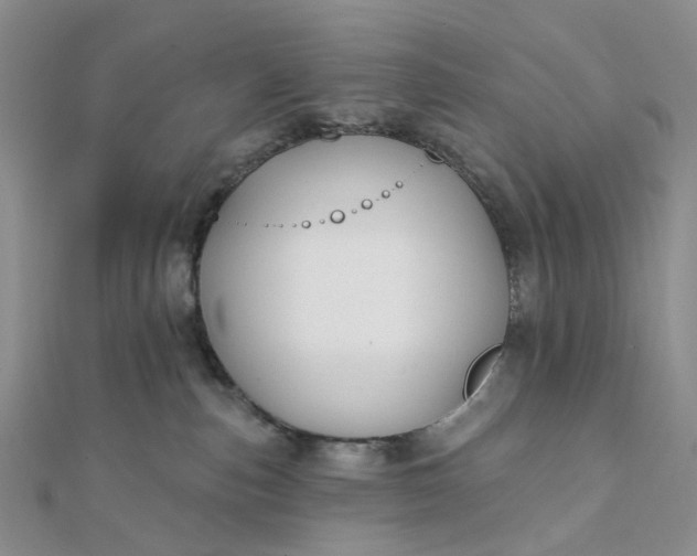 X0000111790187200908061144