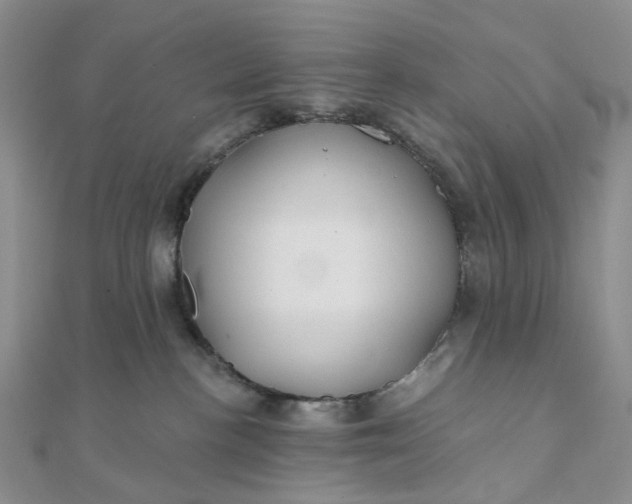 X0000111790188200908061144