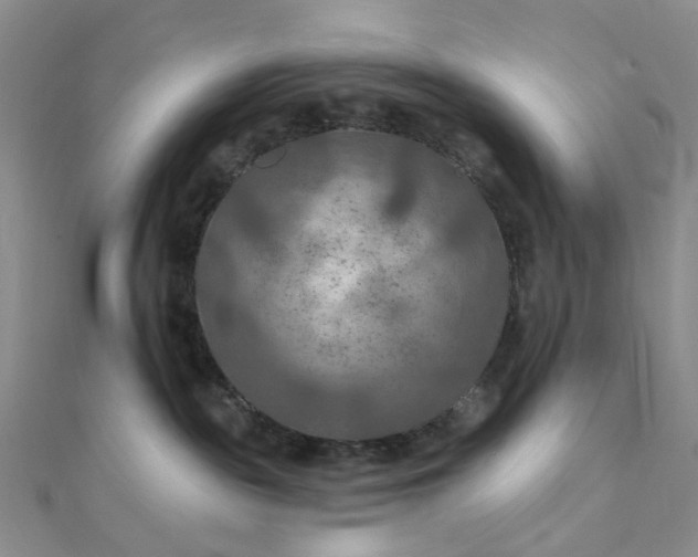 X0000111790189200908061144