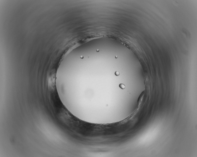 X0000111790190200908061144