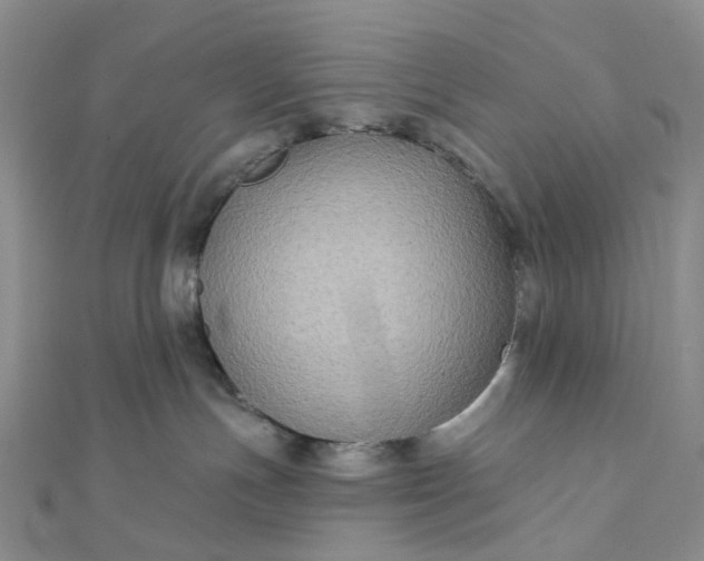 X0000111790191200908061144