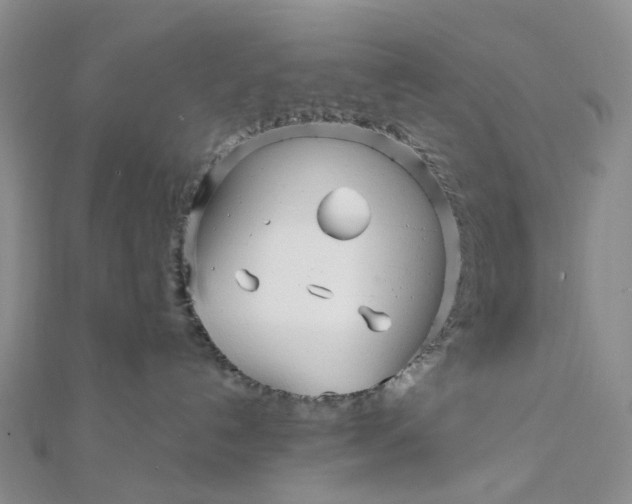 X0000111790192200908061144