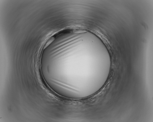 X0000111790193200908061144