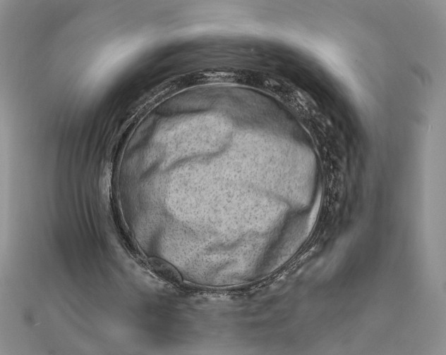 X0000111790194200908061144