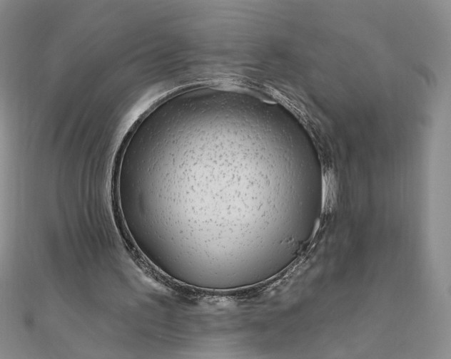 X0000111790195200908061144