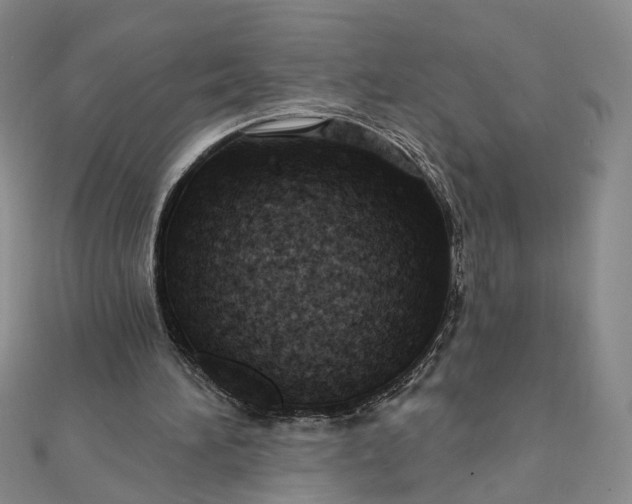 X0000111790196200908061144