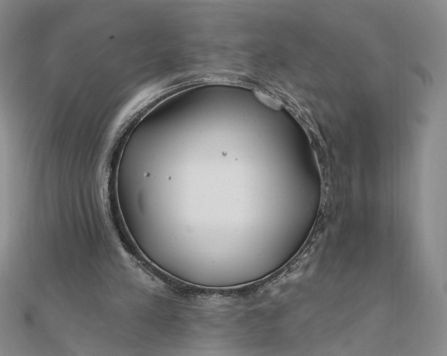 X0000111790197200908061144