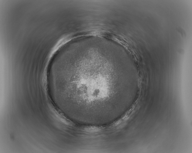 X0000111790198200908061144