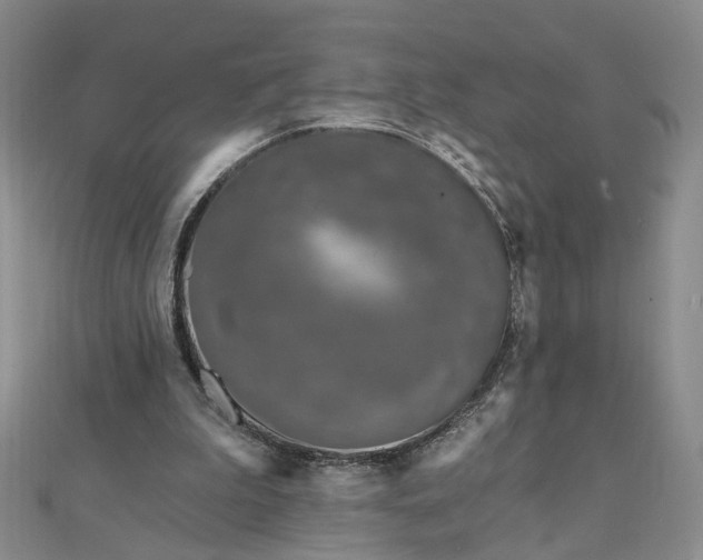 X0000111790199200908061144