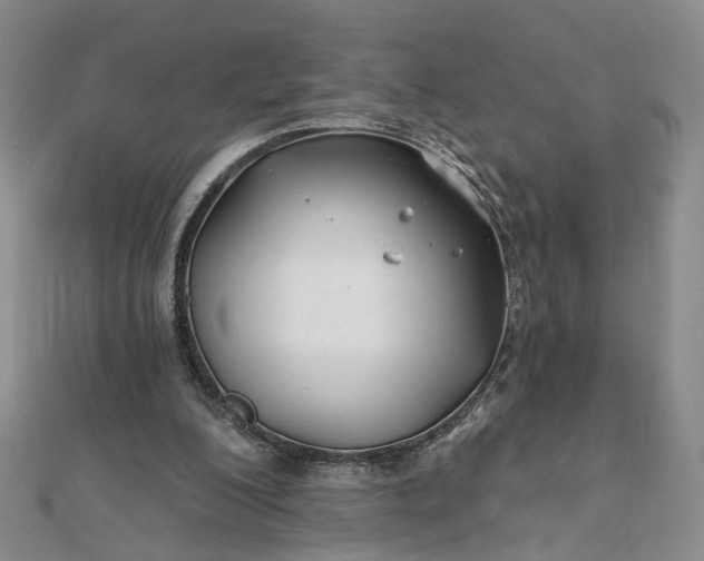 X0000111790200200908061144