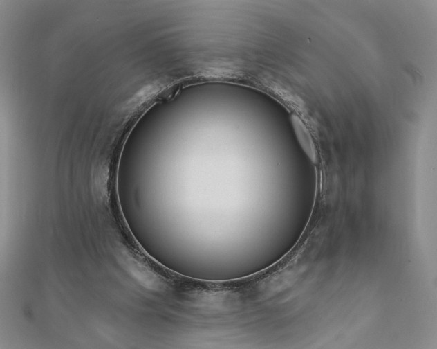 X0000111790201200908061144