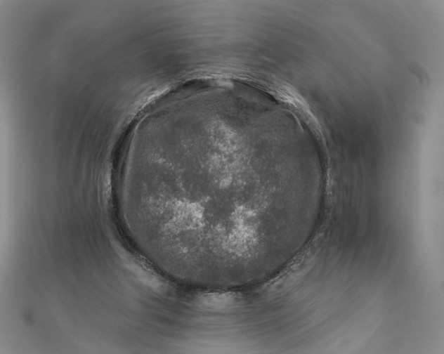 X0000111790202200908061144