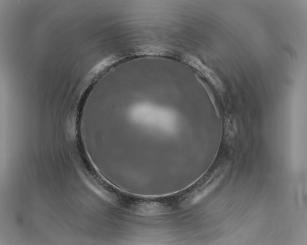 X0000111790203200908061144