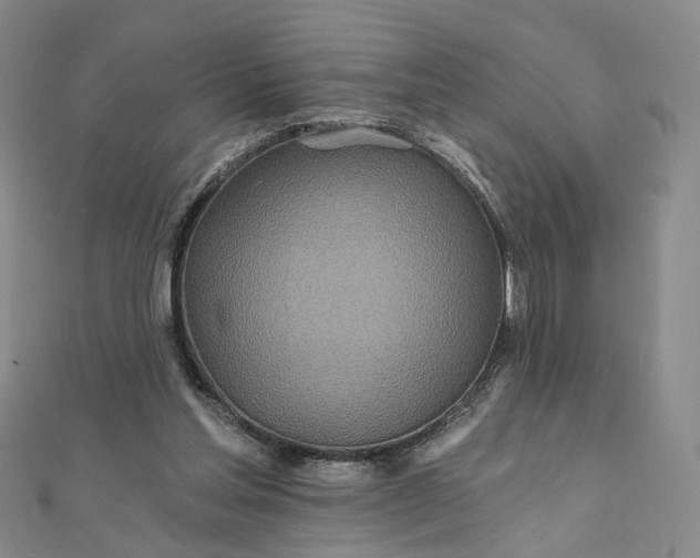 X0000111790205200908061144