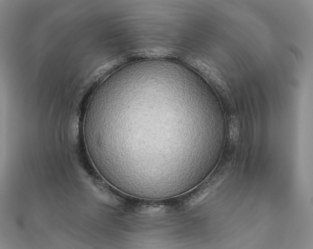 X0000111790206200908061144