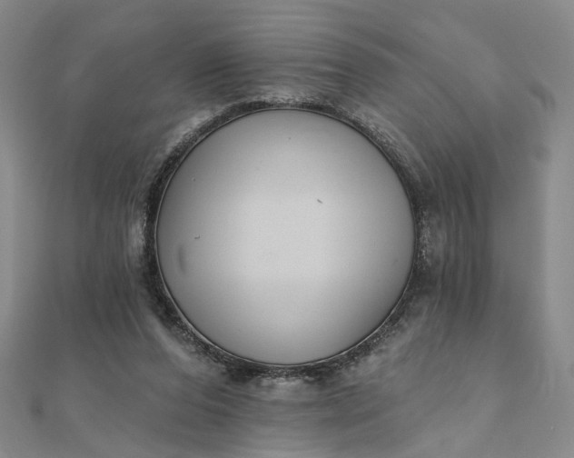 X0000111790208200908061144