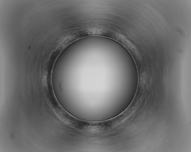 X0000111790209200908061144