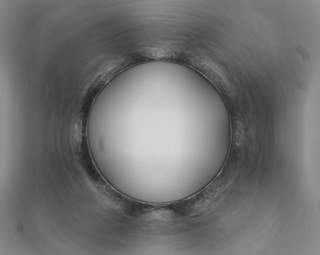 X0000111790210200908061144